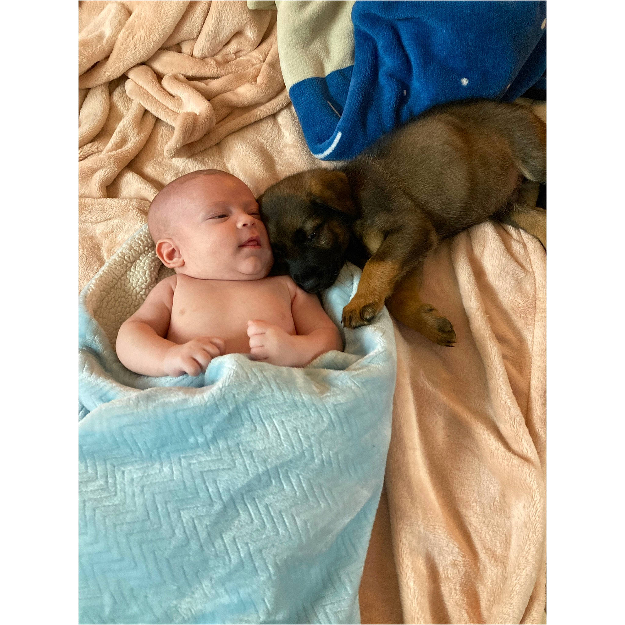 Koa is registered to the contest to win money with this photo: abdomen, baby, baby_products, baby_sleeping, baby_toddler_clothing, barechested, bedding, bedtime, chest, child, comfort, companion_dog, dog, fawn, fur, happy, linens, person, sitting, textile