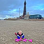 architecture, baby, beach, building, coast, eiffeltower, face, head, landmark, nature, outdoors, person, photography, portrait, sea, shelter, shoreline, sitting, tower, water