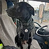 Coby is registered to the contest to win money with this photo: