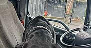 Coby is registered to the contest to win money with this photo: black_dog, coat, collar, dashboard, daytime, dog, fan, gray_seat, metal, outdoor, parking_lot, rain, rain_drops, reflection, seat, side_mirror, steering_wheel, urban, vehicle_interior, window