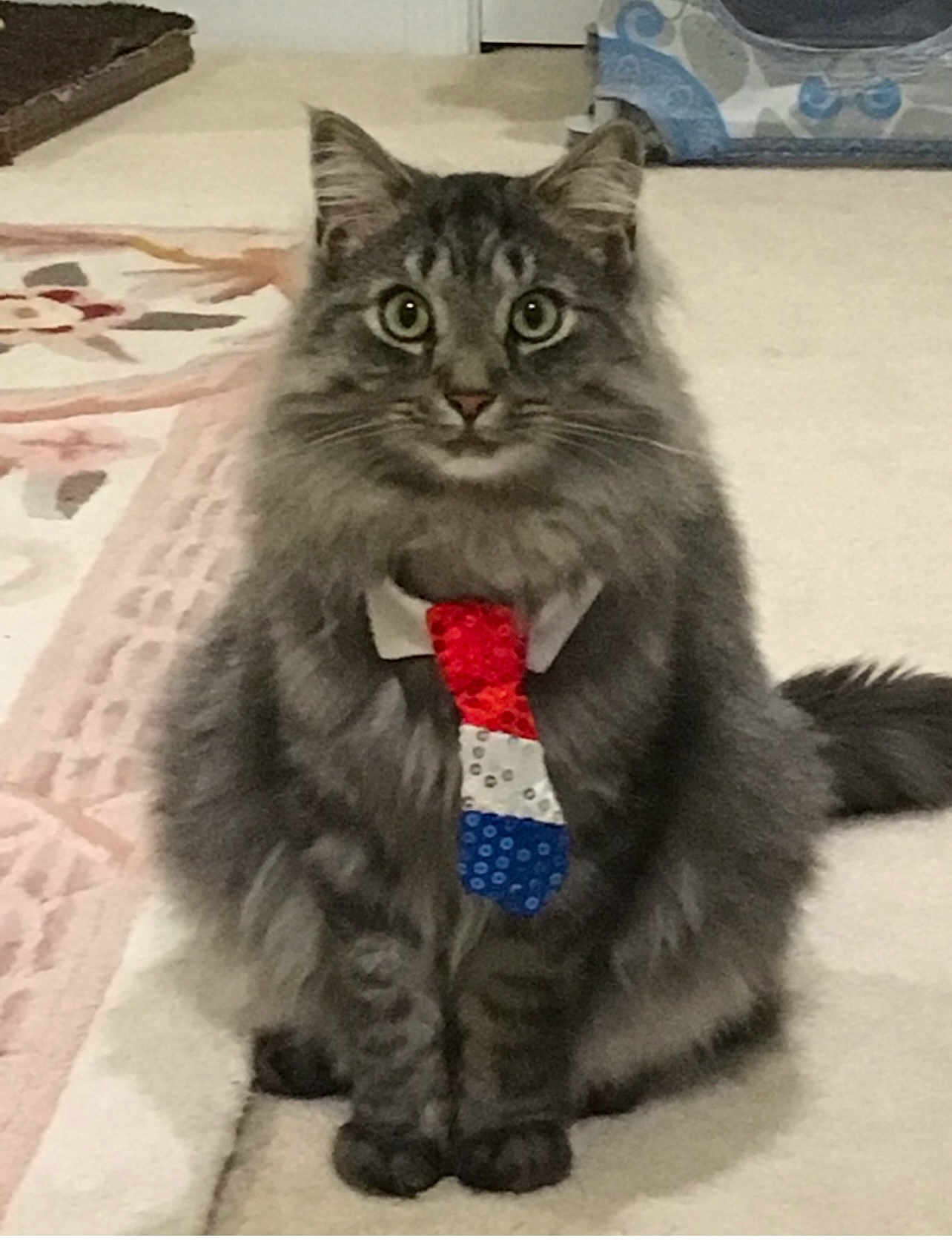 Donald