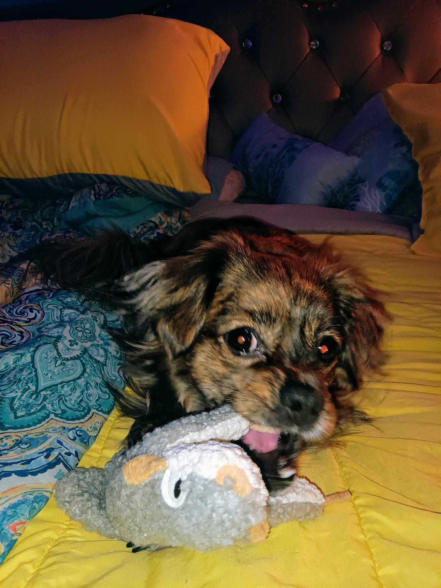 Piperanne