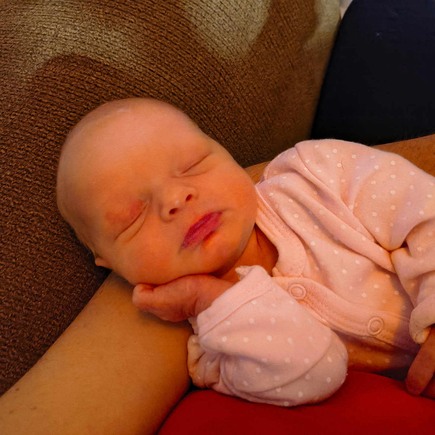 Xena joined the competition — help win amazing prizes! arm, baby, blanket, child, couch, cozy, cute, face, hand, indoors, infant, newborn, peaceful, pink_clothing, polka_dot, portrait, relax, resting, sleeping, soft