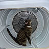 animal, appliance, cat, close_up, collar, domestic_animal, feline, household, humorous, indoor, laundry, metal_drum, pet, sitting, striped_fur, tabby_cat, tail, washing_machine, whiskers, white_appliance