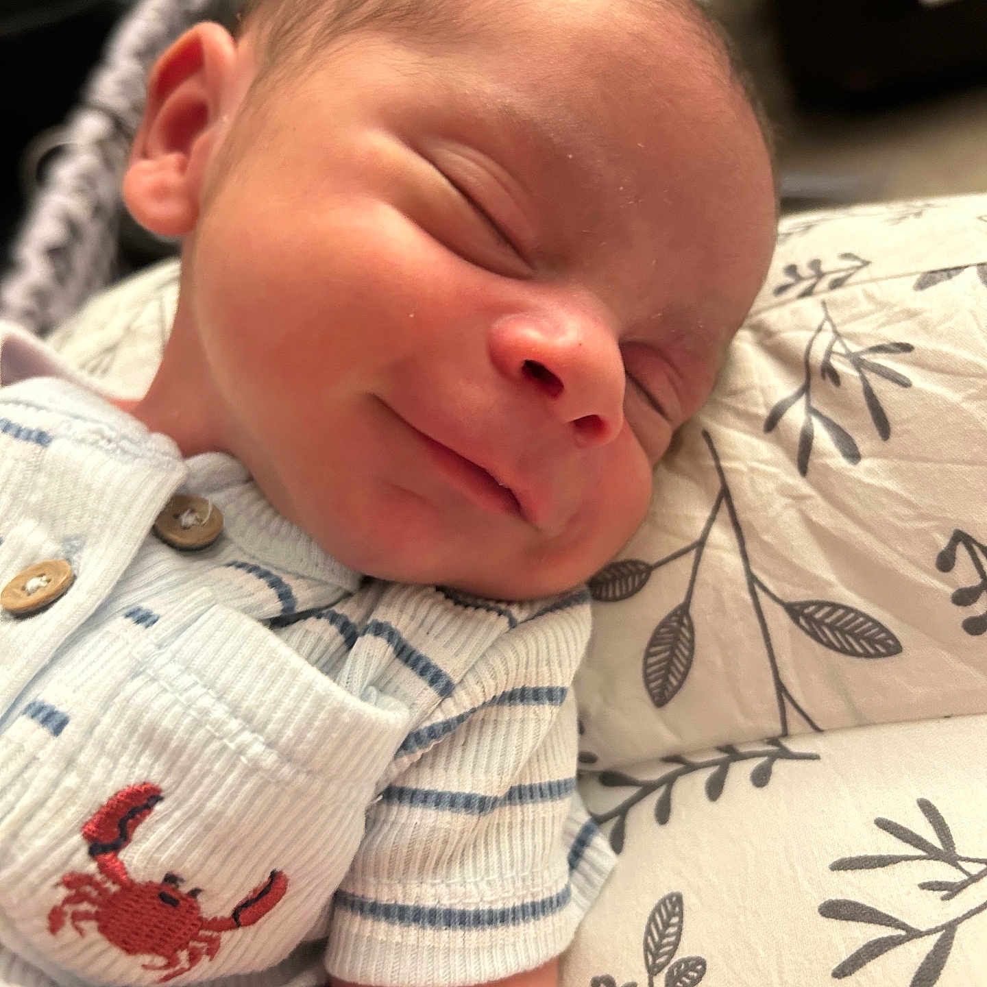 Elijah joined the competition — help win amazing prizes! newborn, baby, sleeping, smiling, onesie, striped_clothing, crab_embroidery, pillow, leaf_pattern, closeup, infant, face, head, peaceful, resting, soft_lighting, skin, cute, child, portrait