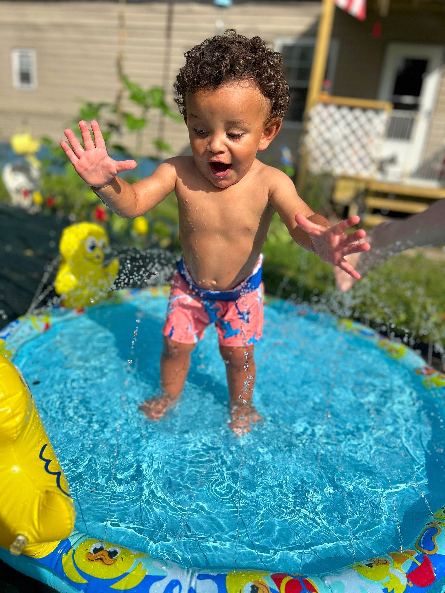 Kamaree joined the competition — help win amazing prizes! azure, bathing, chest, child, fun, games, grass, happy, human_settlement, inflatable, leisure, person, plant, play, public_space, recreation, summer, swimming_pool, toddler, toy