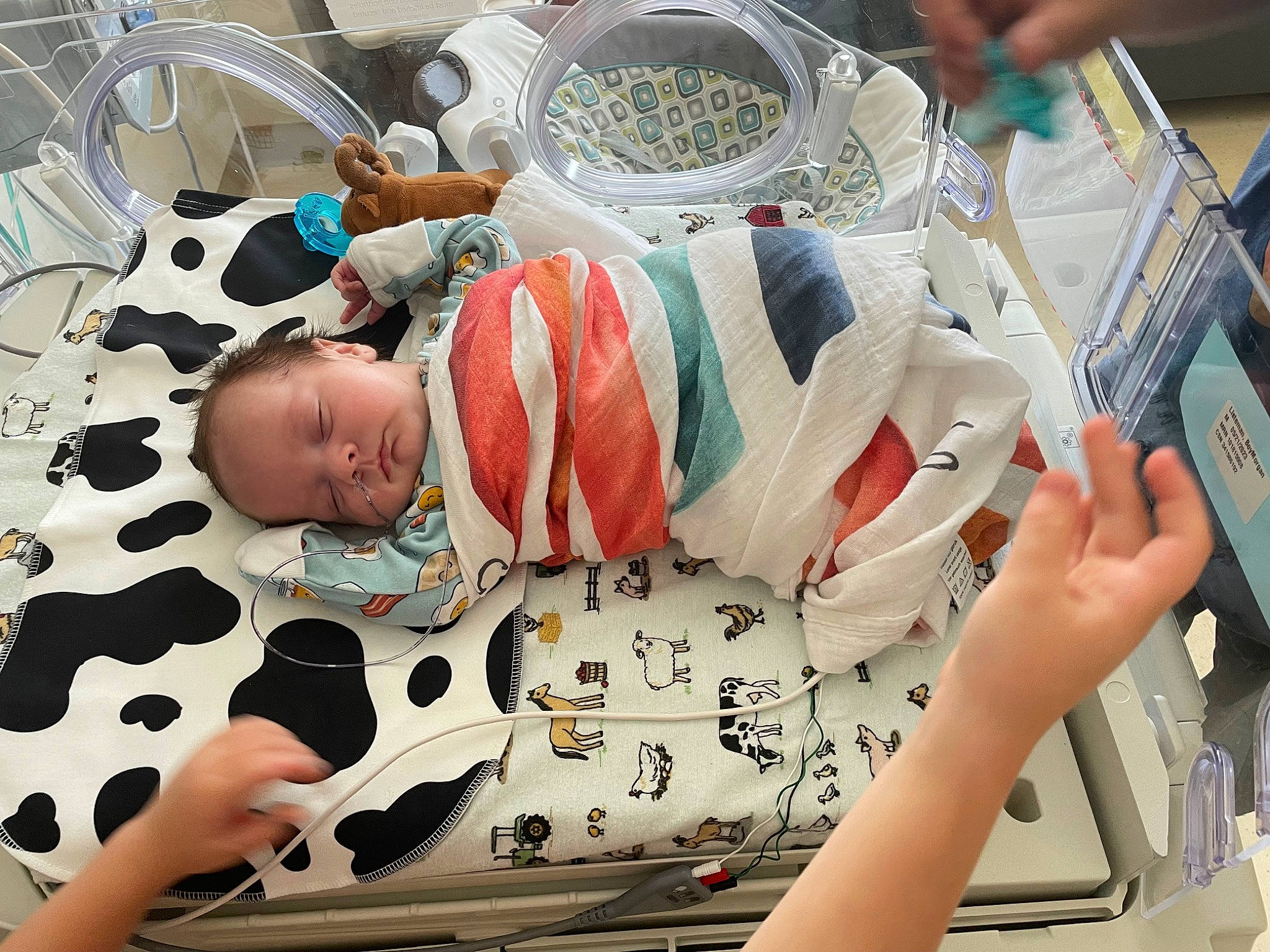 Mason is registered to the contest to win money with this photo: art, baby, baby_products, baby_safety, baby_toddler_clothing, carmine, child, comfort, event, health_care, linens, medical_equipment, medical_procedure, nail, patient, pattern, person, room, service, textile