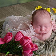 Faye joined the competition — help win amazing prizes! baby, newborn, sleeping, flower_crown, pink_tulips, basket, fur, soft, cozy, portrait, infant, cute, peaceful, resting, delicate, flowers, nature, indoor, closeup, adorable