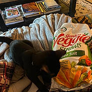 Alluka is registered to the contest to win money with this photo: black_cat, blanket, snack_bag, veggie_straws, sea_salt, plaid_pajamas, socks, coffee_table, books, indoor, carpet, furniture, cozy, pet, animal, resting, soft_texture, table, food_packaging, relaxation