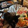 black_cat, blanket, snack_bag, veggie_straws, sea_salt, plaid_pajamas, socks, coffee_table, books, indoor, carpet, furniture, cozy, pet, animal, resting, soft_texture, table, food_packaging, relaxation