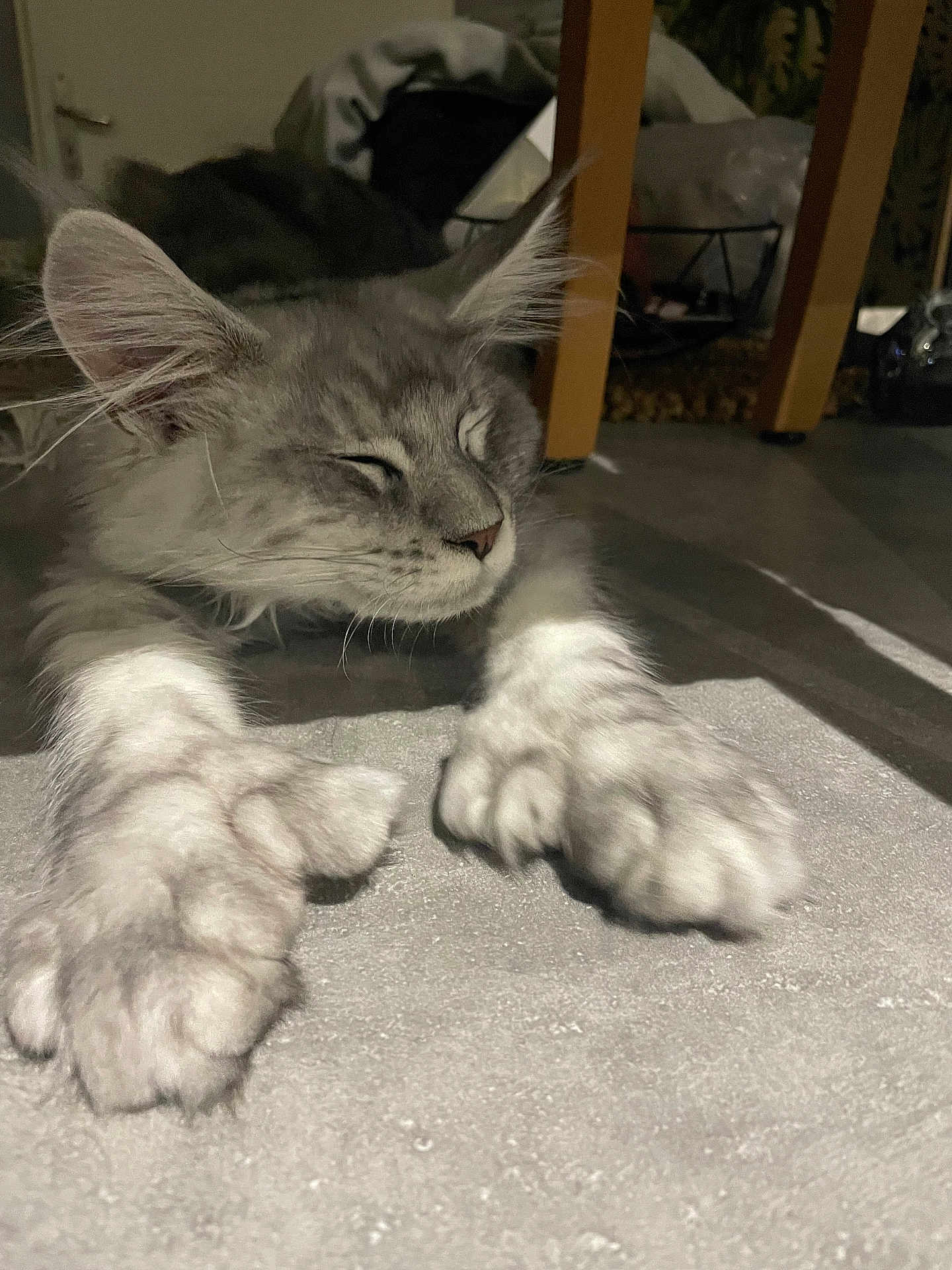 Loki