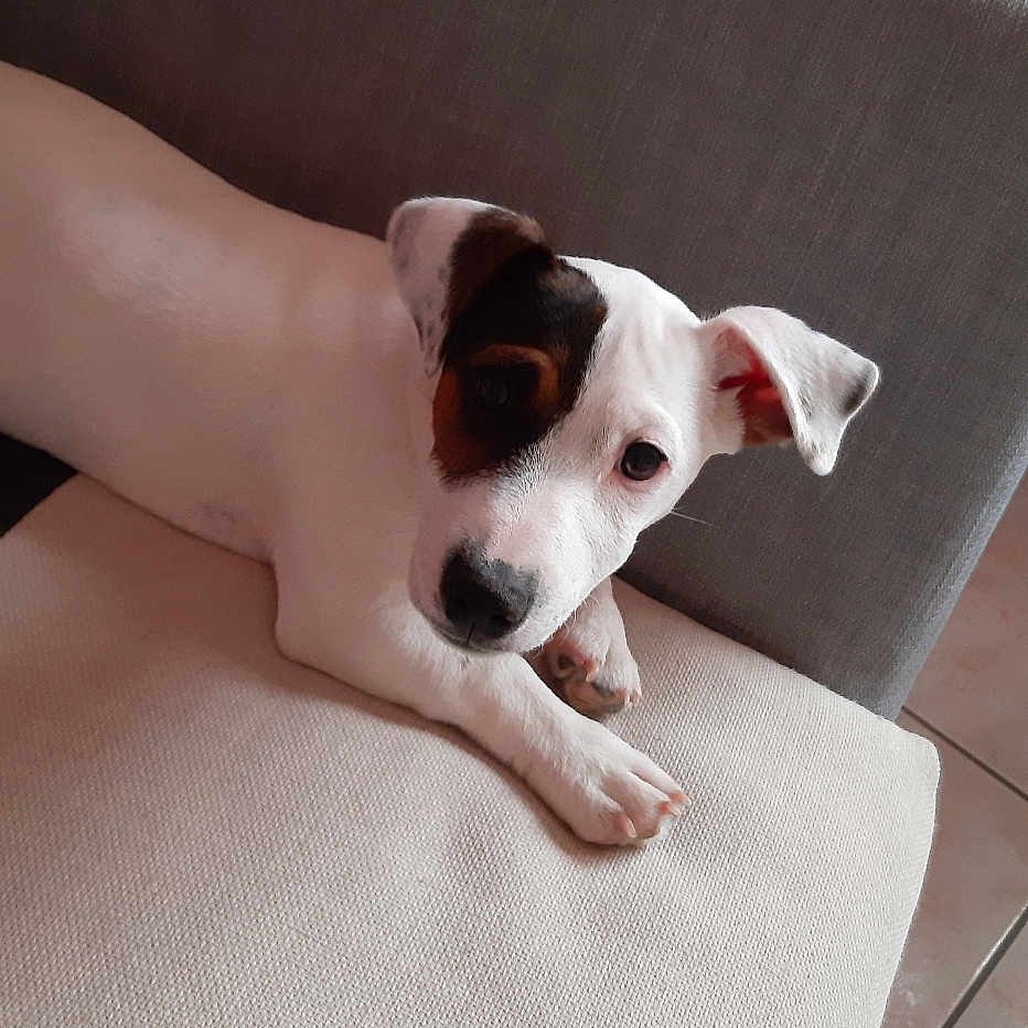 Sam