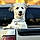 Snoopy