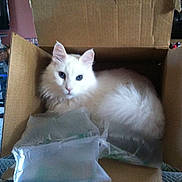 Taner is registered to the contest to win money with this photo: