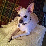 Stormie joined the competition — help win amazing prizes!