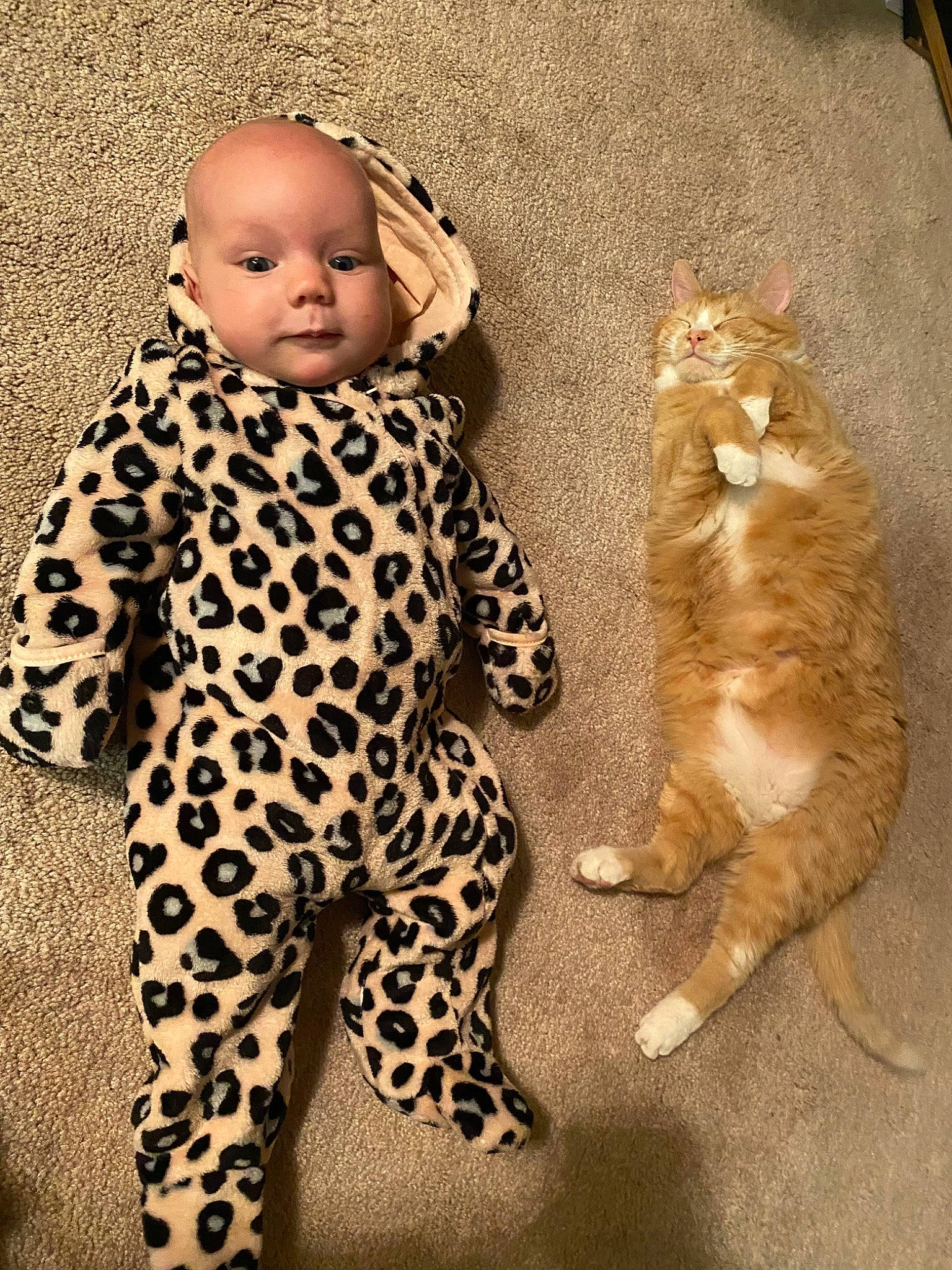 Avery joined the competition — help win amazing prizes! baby, baby_toddler_clothing, cat, child, fawn, flooring, fur, happy, human_body, mammal, pattern, person, sitting, skin, sleeve, small_to_medium_sized_cats, stuffed_toy, toddler, toy, vertebrate