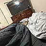 Zoey Monae joined the competition — help win amazing prizes! bed, blanket, cat, comforter, cozy, curious, domestic, drapery, fur, furniture, indoor, interior, living_space, pet, resting, room, sleeping_area, tabby_cat, television, wooden_dresser