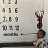 baby, crib, milestone_blanket, months, numbers, smiling, child, indoor, plaid_deer, text, white_background, clothing, person, cute, baby_girl, photo_shoot, decor, playpen, infant, woodland_theme