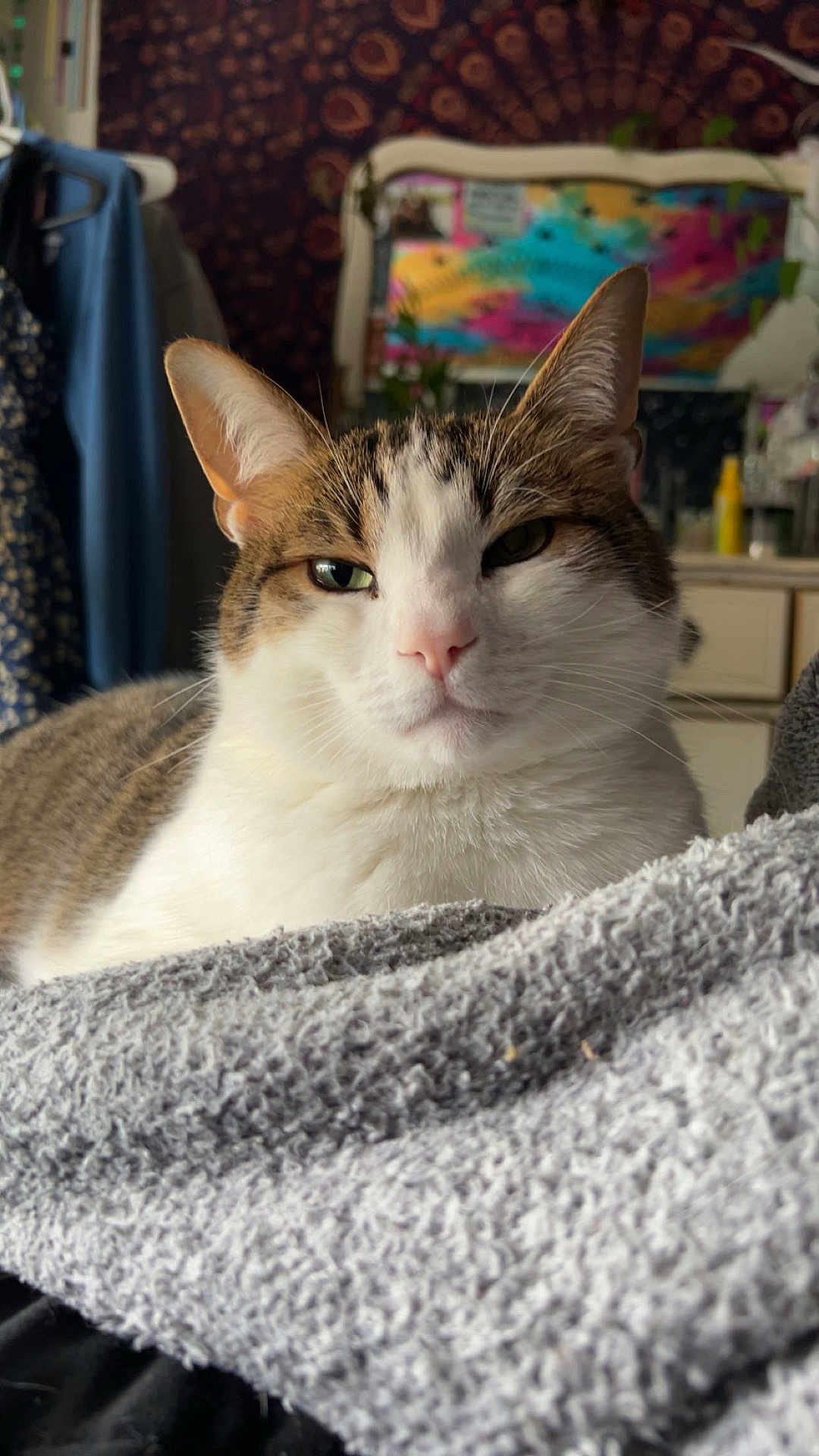 Milo