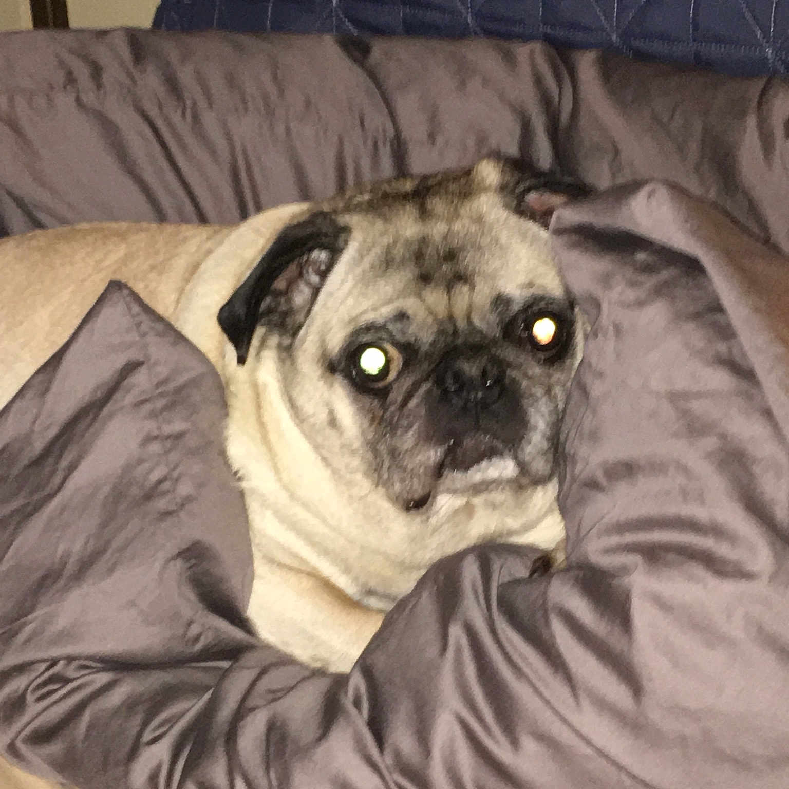 Mugsy