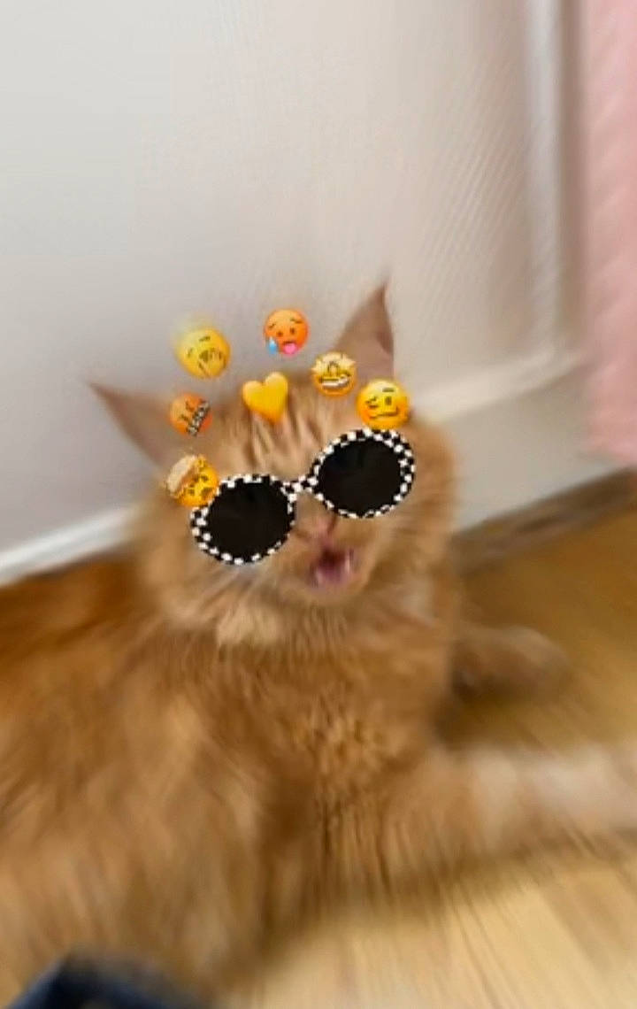 Carotte a rejoint le concours — aidez-le/la à gagner de superbes lots ! art, doll, dress, fashion_accessory, fashion_design, fawn, feather, felidae, flooring, fur, goggles, hair_accessory, hardwood, headpiece, jewellery, stuffed_toy, tail, toy, whiskers, wood