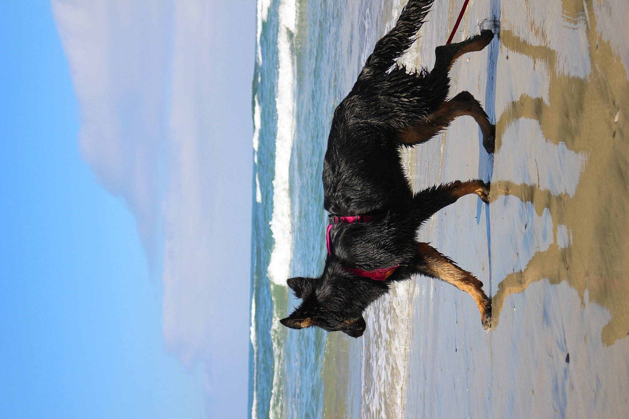 Beauty is registered to the contest to win money with this photo: adventure, art, beak, cloud, extreme_sport, freezing, fun, plant, reflection, shadow, sky, snow, sporting_group, tail, tree, trunk, visual_arts, water, wing, wood
