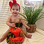 baby, child, red_bow, watermelon, fruit_cake, grapes, kiwi, green_plant, wicker_basket, blanket, smiling, headband, indoor, cute, toddler, happy, fruit, plate, sitting, decor