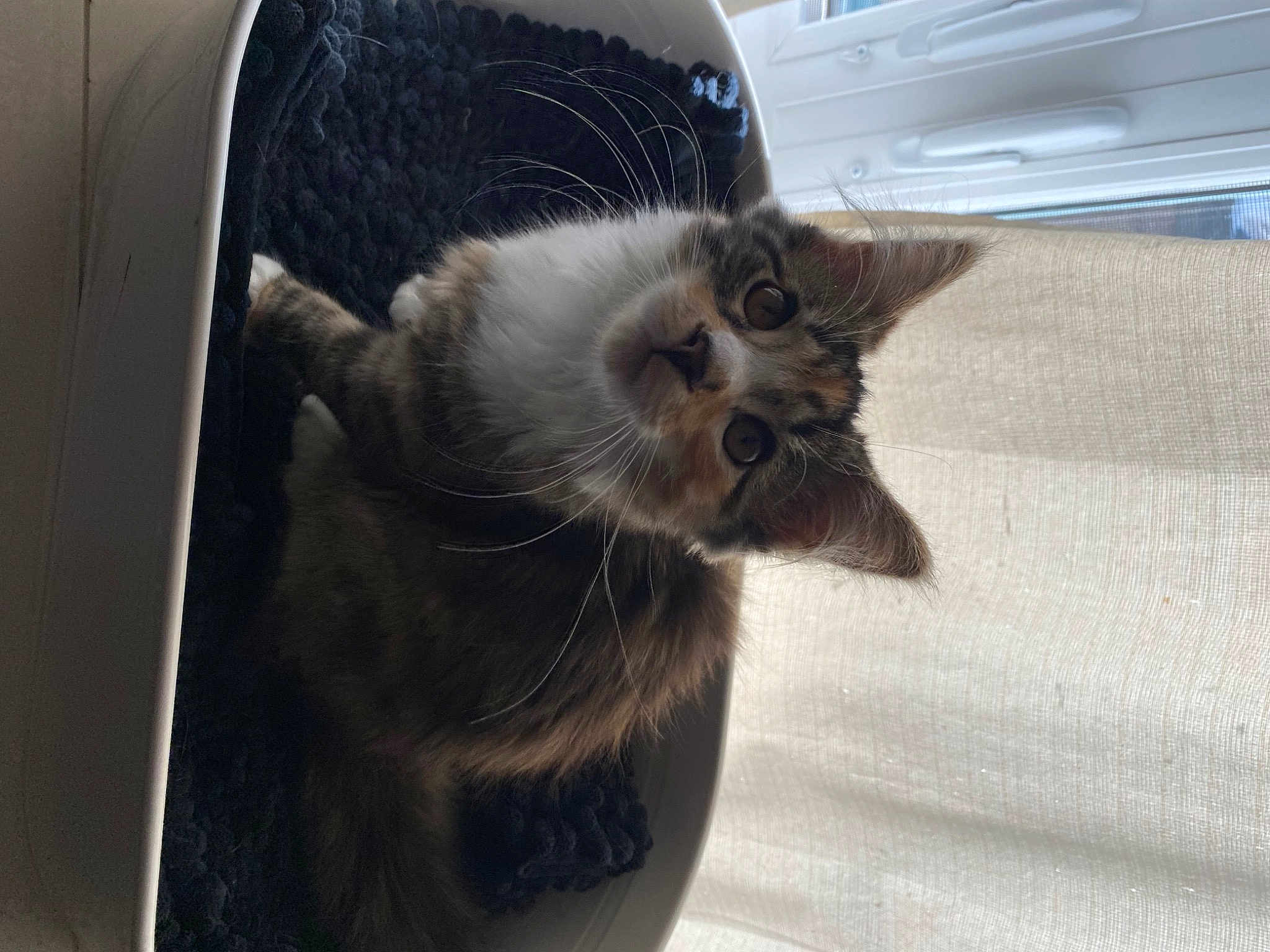 Ezzie