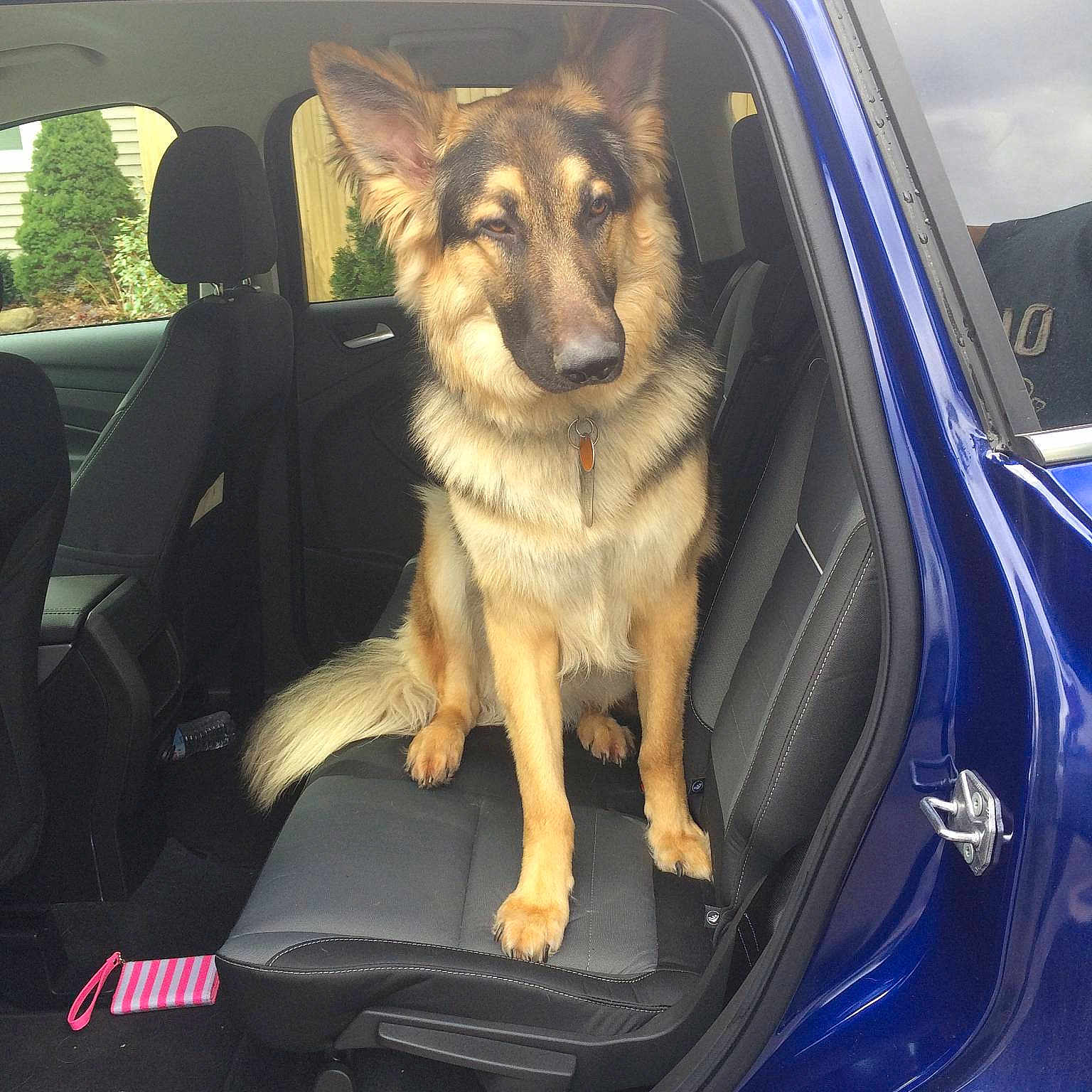 Oliver is registered to the contest to win money with this photo: