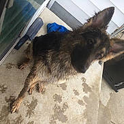 Oliver joined the competition — help win amazing prizes!