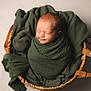 newborn, baby, swaddled, basket, blanket, green, sleeping, infant, cozy, wrapped, cute, peaceful, soft_light, portrait, child, woven_basket, fabric, head, resting, indoor