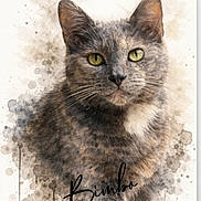 Bimbo a rejoint le concours — aidez-le/la à gagner de superbes lots ! cat, gray_cat, animal, pet, portrait, watercolor, illustration, green_eyes, whiskers, ears, fur, close_up, front_facing, sitting, artwork, paint_splatter, white_background, handwritten_text, dramatic, cute