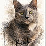 cat, gray_cat, animal, pet, portrait, watercolor, illustration, green_eyes, whiskers, ears, fur, close_up, front_facing, sitting, artwork, paint_splatter, white_background, handwritten_text, dramatic, cute
