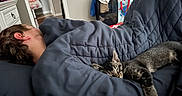 Smokey is registered to the contest to win money with this photo: person, cat, blanket, bedroom, sleeping, nap, indoor, furniture, tabby_cat, rest, cozy, home, comfort, pillow, clothing, head, hair, doorway, bag, can