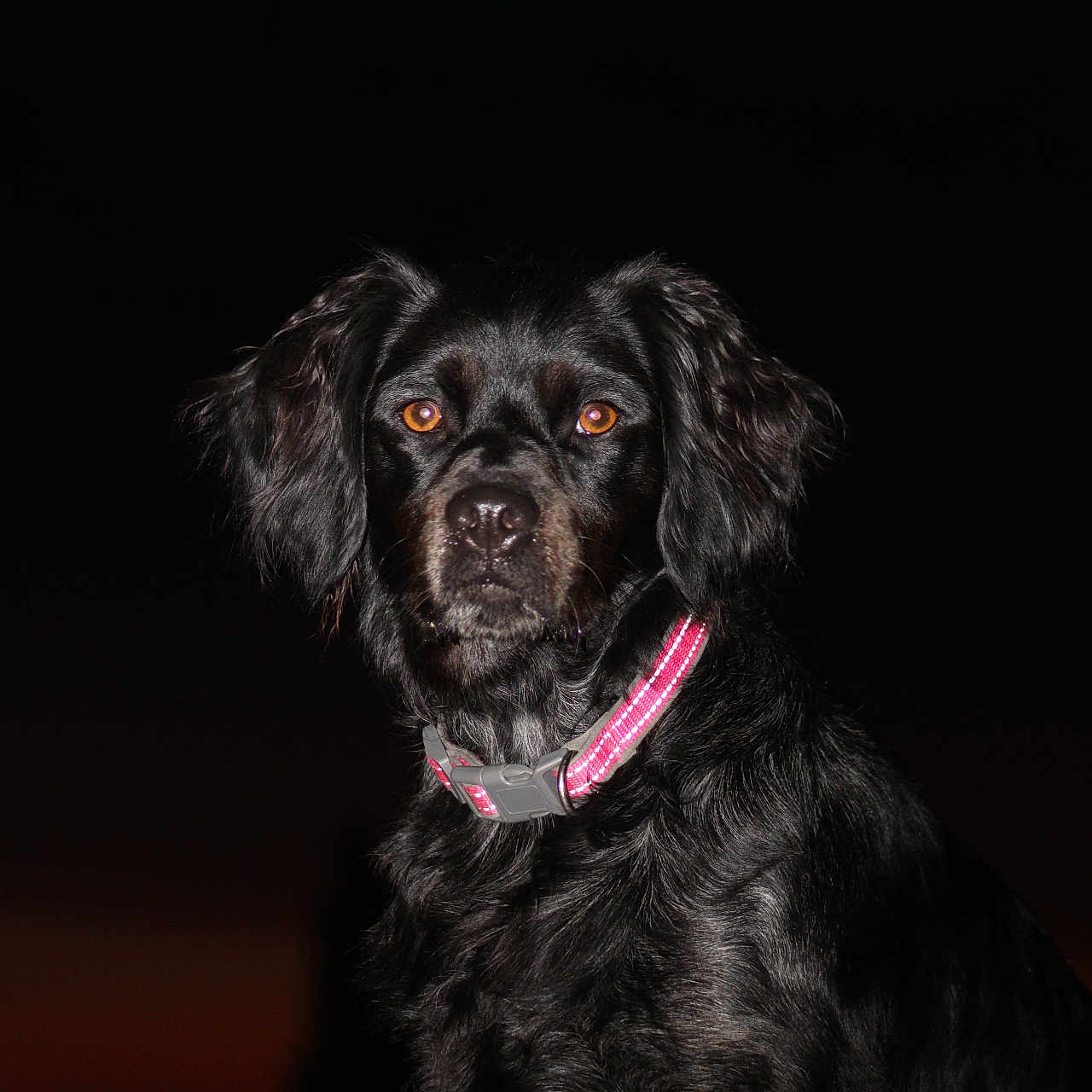 Sally