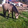 Icare participe au concours pour gagner de l'argent avec cette photo :