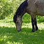 Icare participe au concours pour gagner de l'argent avec cette photo :
