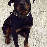 Vito participe au concours pour gagner de l'argent avec cette photo :