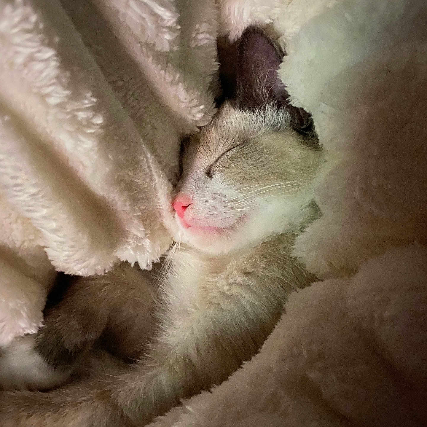 Miu