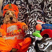 Alfie joined the competition — help win amazing prizes!
