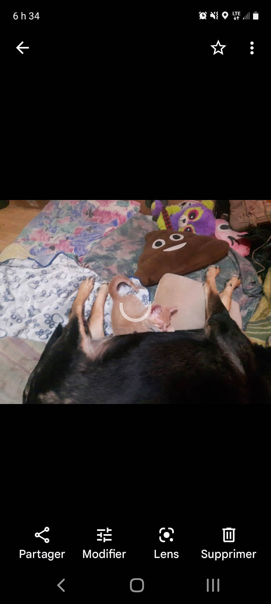 Lina a rejoint le concours — aidez-le/la à gagner de superbes lots ! art, artist, eyelash, eyewear, fashion_accessory, finger, flesh, fun, gesture, human_leg, jewellery, magenta, nail, paint, painting, textile, thumb, visual_arts, watercolor_paint, wrist