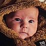 baby, child, face, hood, fur, clothing, portrait, closeup, eyes, cute, infant, warm, soft, expression, looking, person, head, skin, apparel, snug