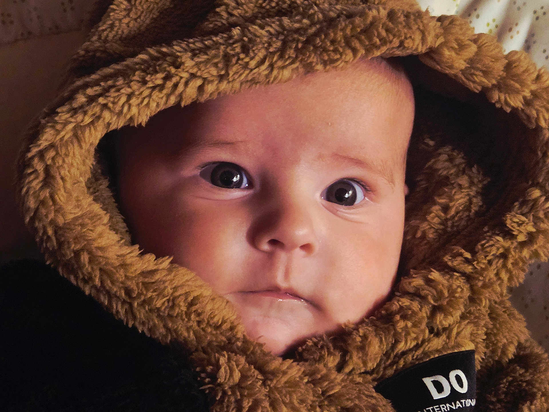 Laïa a rejoint le concours — aidez-le/la à gagner de superbes lots ! baby, child, face, hood, fur, clothing, portrait, closeup, eyes, cute, infant, warm, soft, expression, looking, person, head, skin, apparel, snug