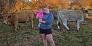 Laïa participe au concours pour gagner de l'argent avec cette photo : child, baby, girl, cows, pasture, grass, autumn, trees, nature, outdoor, animal, livestock, holding, casual_clothing, hoodie, shorts, socks, shoes, rural, daylight