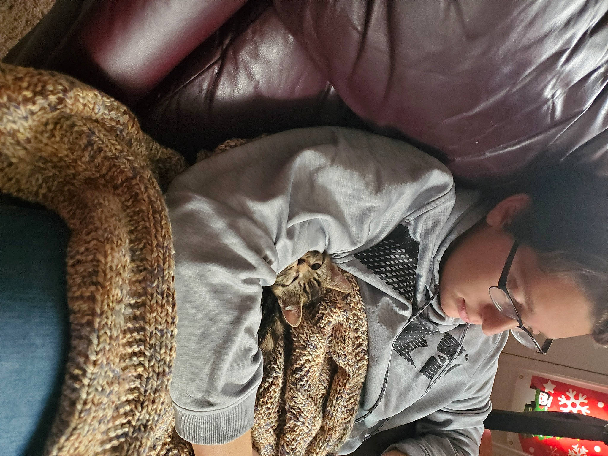 Snicker is registered to the contest to win money with this photo: child, comfort, couch, felidae, flooring, fur, glasses, human_leg, leg, linens, nap, pattern, python, reptile, serpent, sitting, snake, textile, thigh, vertebrate