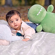 Krishiv joined the competition — help win amazing prizes! baby, child, plush_toy, green_dinosaur, giraffe_toy, blanket, outdoor, autumn, forest, curious, lying_down, soft_focus, pattern, casual_clothing, infant, toy, nature, portrait, cute, young_child