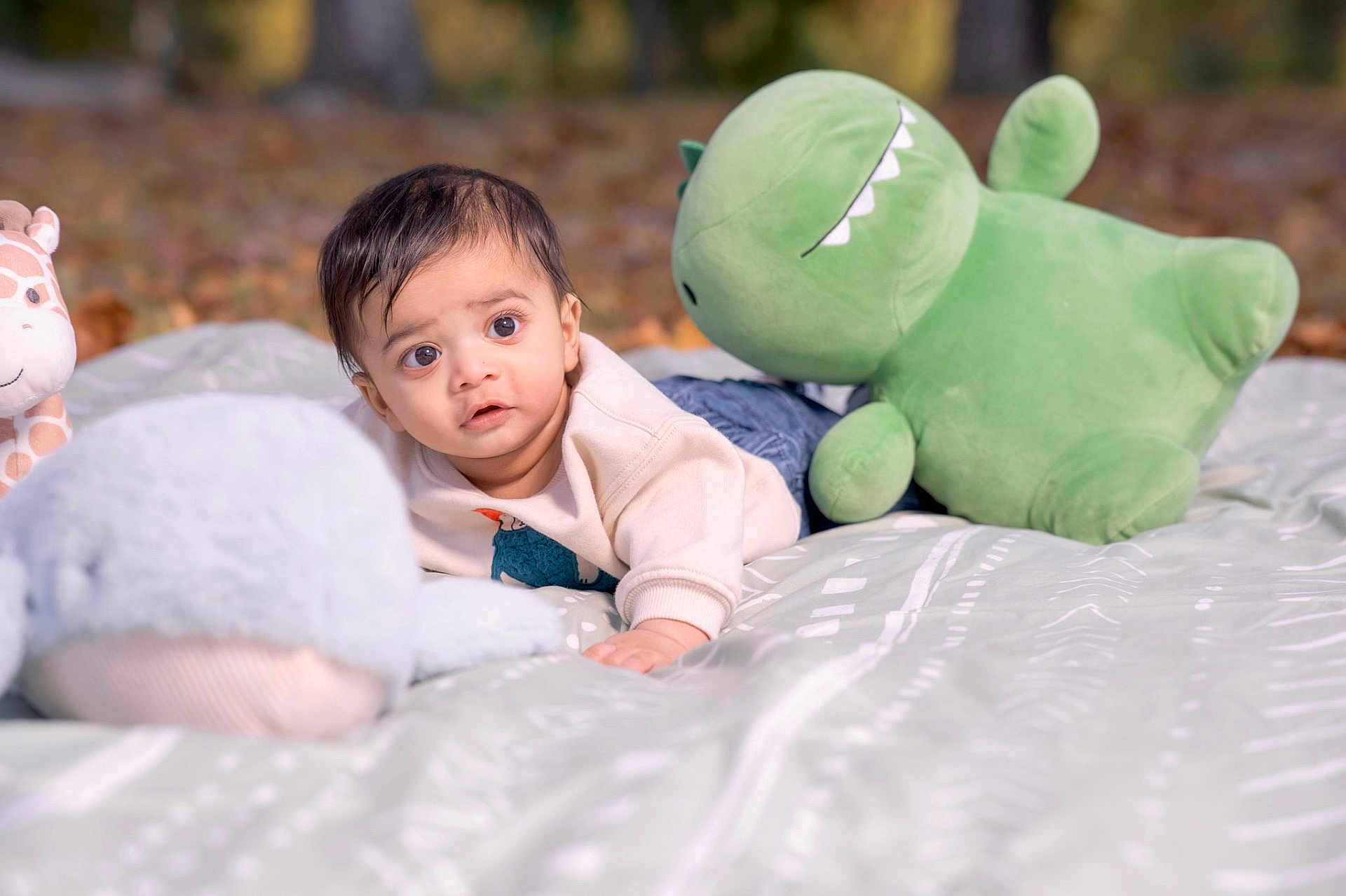 Krishiv joined the competition — help win amazing prizes! baby, child, plush_toy, green_dinosaur, giraffe_toy, blanket, outdoor, autumn, forest, curious, lying_down, soft_focus, pattern, casual_clothing, infant, toy, nature, portrait, cute, young_child