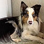 Gibbs participe au concours pour gagner de l'argent avec cette photo :