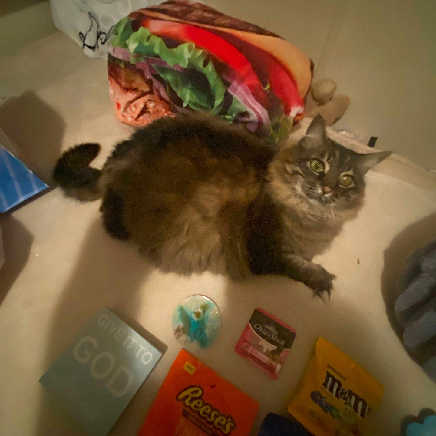 Mira