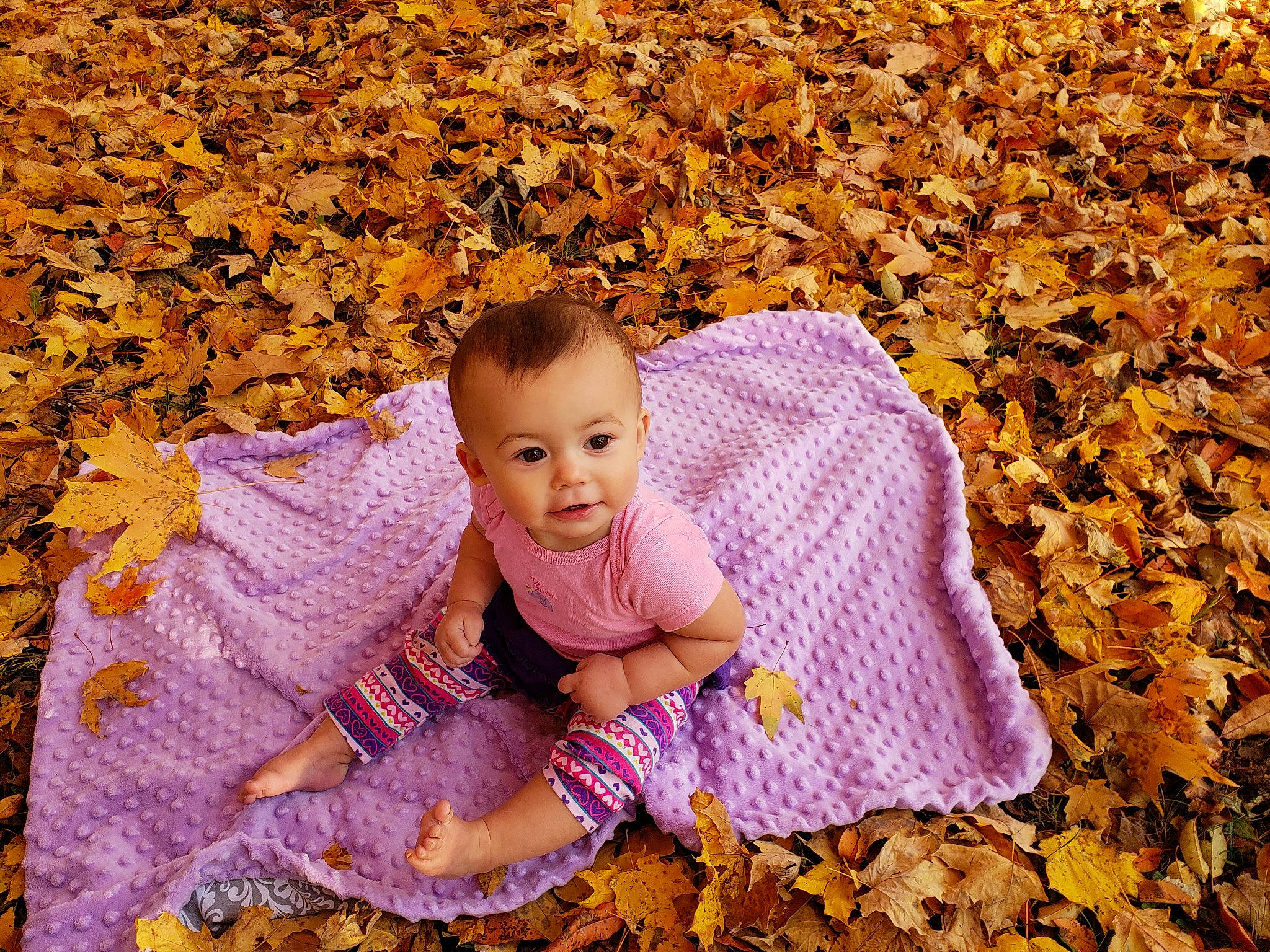 Linnea is registered to the contest to win money with this photo: autumn, baby, beauty, child, happy, knitting, leaf, people_in_nature, person, photography, portrait_photography, smile, toddler, tree, wood, yellow